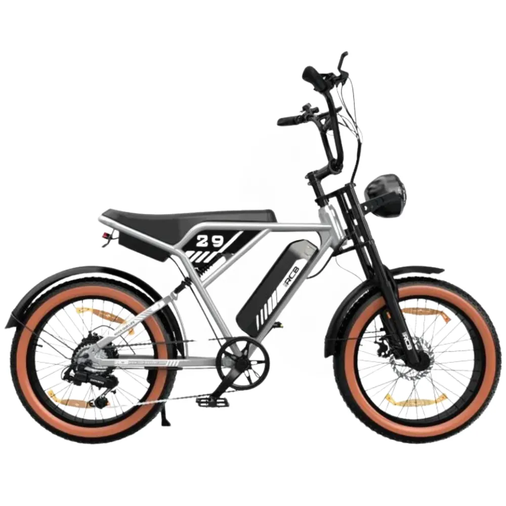 RCB – RK29 Fatbike - 250W, Svart